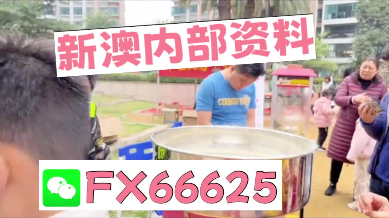 新奧2025最新資料大全,，全面解析與深度洞察,，新奧2025最新資料詳解與深度洞察報(bào)告