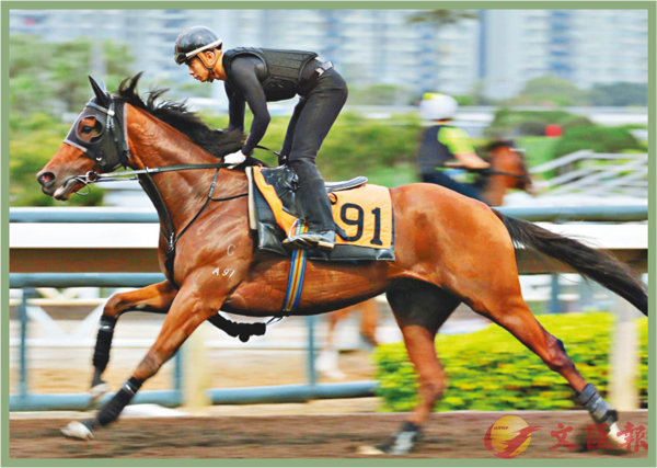 香港賽馬,，探尋賽道上的激情與榮耀——7777788888的獨特魅力，香港賽馬,，探尋賽道激情與榮耀,，7777788888的獨特魅力