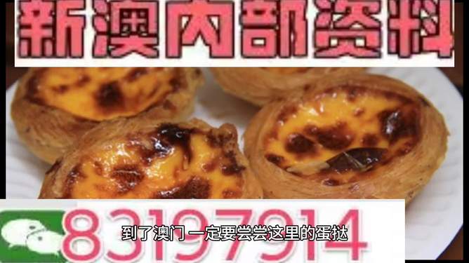 新澳門(mén)料,，探索澳門(mén)的最新發(fā)展與魅力,，澳門(mén)新風(fēng)貌，探索最新發(fā)展與魅力