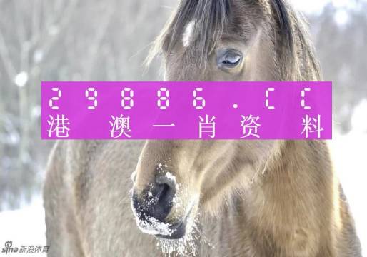 澳門(mén)一肖一碼背后的故事,，揭秘精準(zhǔn)預(yù)測(cè)的神秘面紗,，澳門(mén)一肖一碼揭秘，精準(zhǔn)預(yù)測(cè)背后的神秘故事