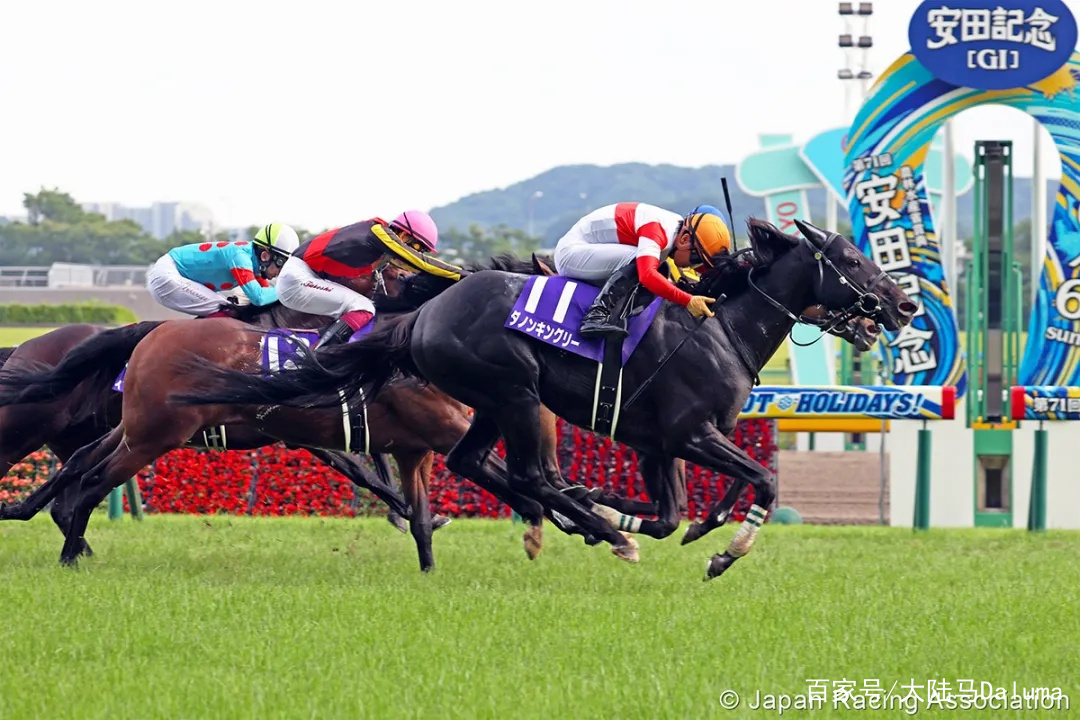 香港特馬王中王中王，揭秘背后的故事與神秘面紗,，揭秘香港特馬王中王中王的神秘面紗與背后故事