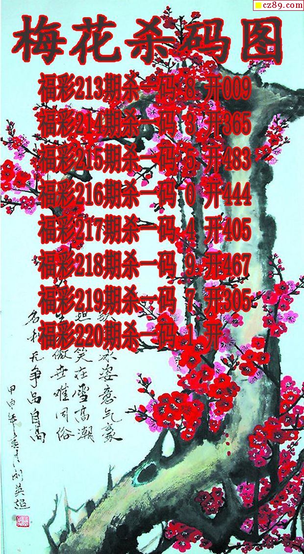探索新澳門正版梅花詩，預測與展望到2025年第107期,，新澳門正版梅花詩,，探索預測與展望至2025年第107期揭秘