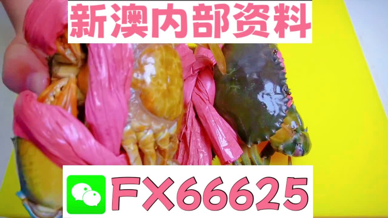 新奧特碼走勢(shì)圖解析與預(yù)測(cè)，新奧特碼走勢(shì)圖解析與預(yù)測(cè),，未來(lái)趨勢(shì)探討