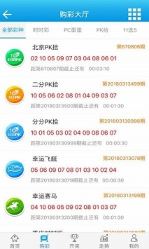 新澳門王中王期期中的奧秘與探索，澳門王中王期期奧秘揭秘與深度探索