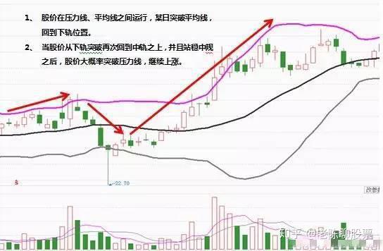 新澳門生肖走勢(shì)圖分布圖，深度解析與預(yù)測(cè),，澳門生肖走勢(shì)圖深度解析與預(yù)測(cè),，分布圖及未來(lái)趨勢(shì)探討
