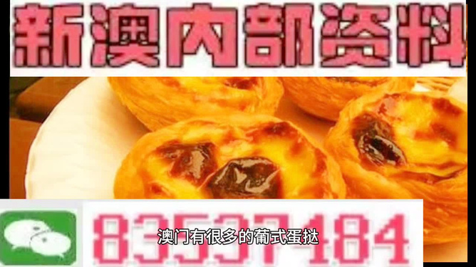 探索未來,，2025新澳最新精準特色展望，2025新澳展望,，探索未來精準特色發(fā)展之路