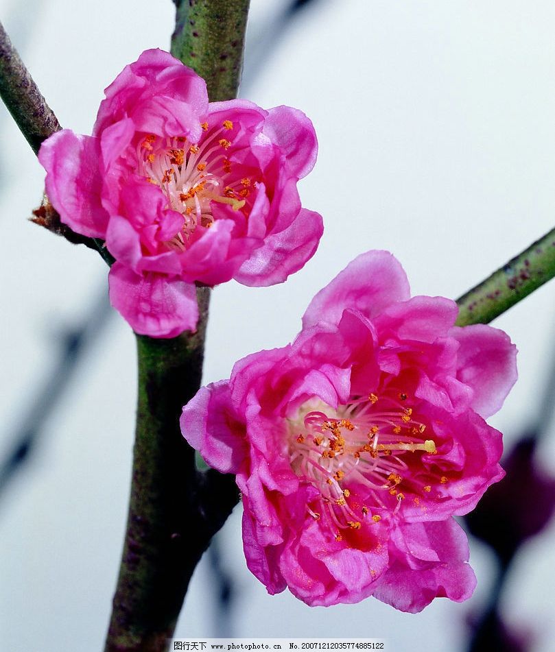 探索與發(fā)現(xiàn)