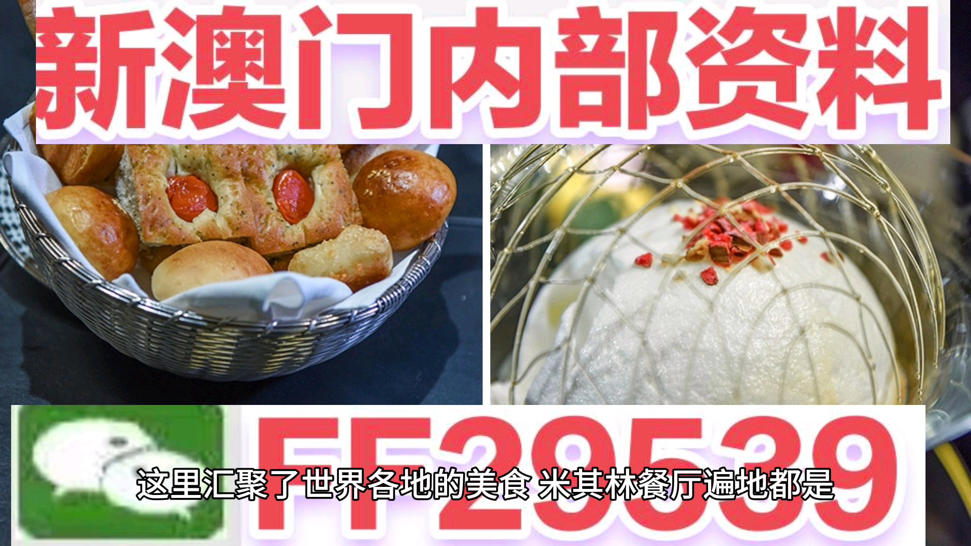 澳門特碼，探索與解析,，澳門特碼解析與探索之旅