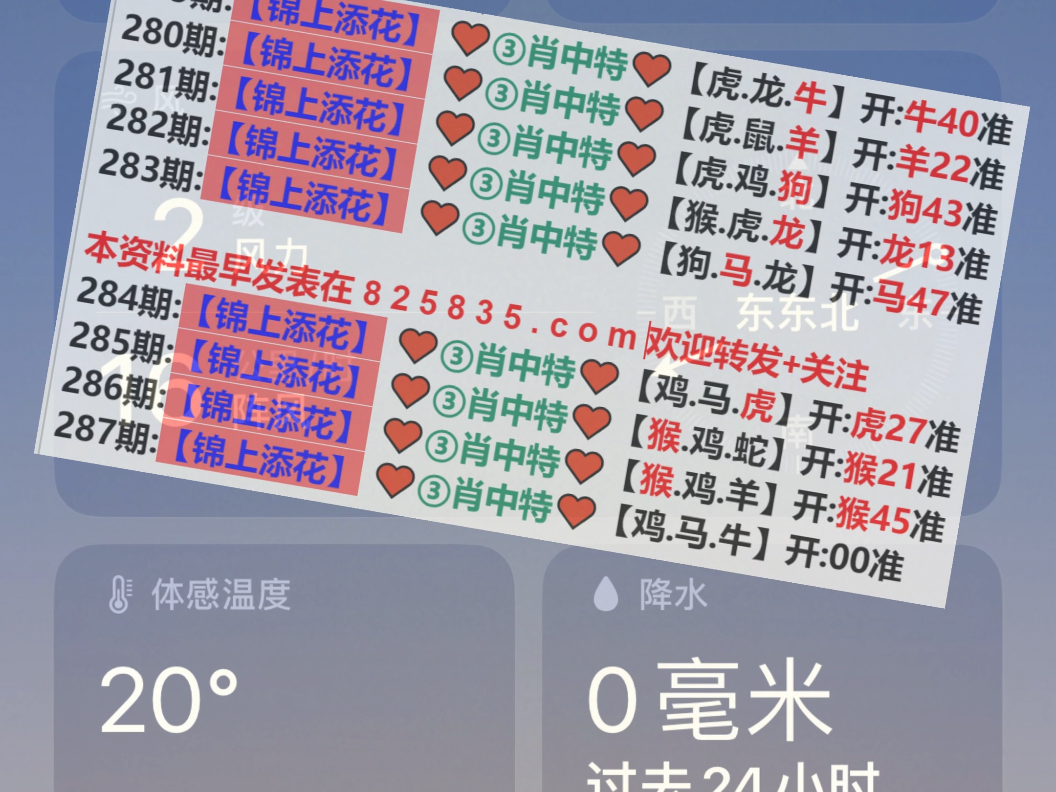 新澳2025年精準(zhǔn)一肖一碼預(yù)測(cè)與解析,，新澳2025年生肖一碼預(yù)測(cè)解析