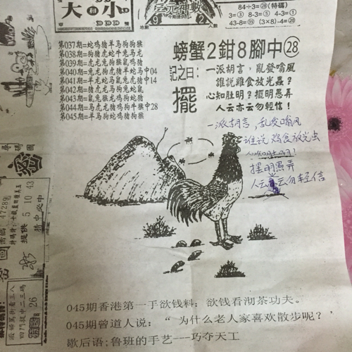 王中王幽默解一肖——探尋生肖之趣,，王中王幽默解讀生肖之謎,，探尋生肖趣味之旅