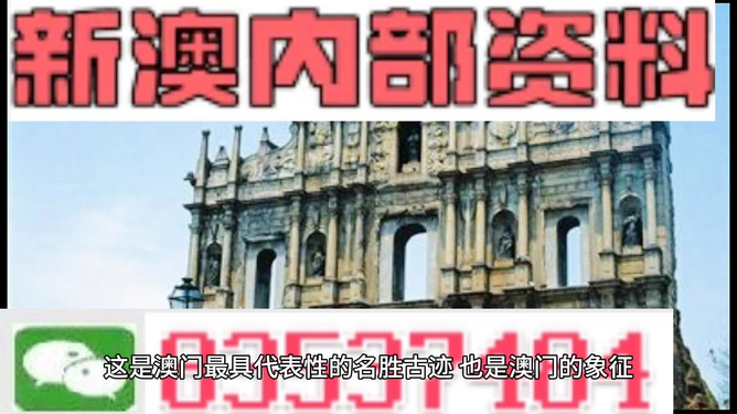 深度解析與探索（或全面視角）