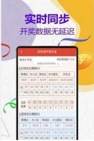 王中王2469平特一肖，揭秘背后的故事與奧秘,，揭秘王中王2469平特一肖背后的故事與奧秘