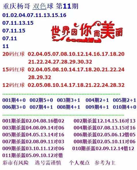 新澳天天開獎資料大全第262期,，探索彩票世界的奧秘與期待