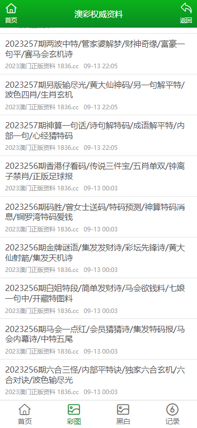 澳門資料大全正版資料查詢器，一站式查詢解決方案,，澳門資料大全正版查詢器,，一站式解決方案