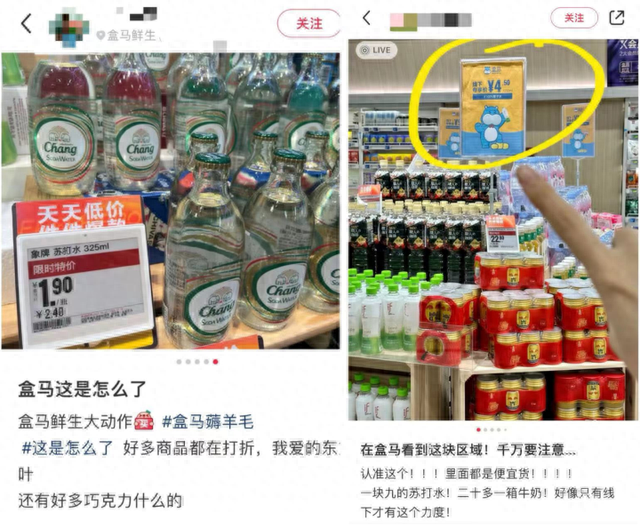 王中王45期指一生肖,，深度解析與預(yù)測,，王中王45期生肖深度解析與預(yù)測