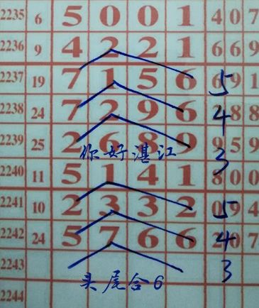 二中二一肖一尾的計(jì)算方法詳解,，二中二一肖一尾的計(jì)算方法深度解析