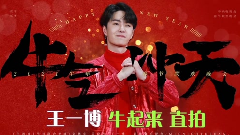 揭秘王中王，一肖中特的神秘面紗與獨特魅力,，揭秘王中王與一肖中特的神秘面紗與獨特魅力