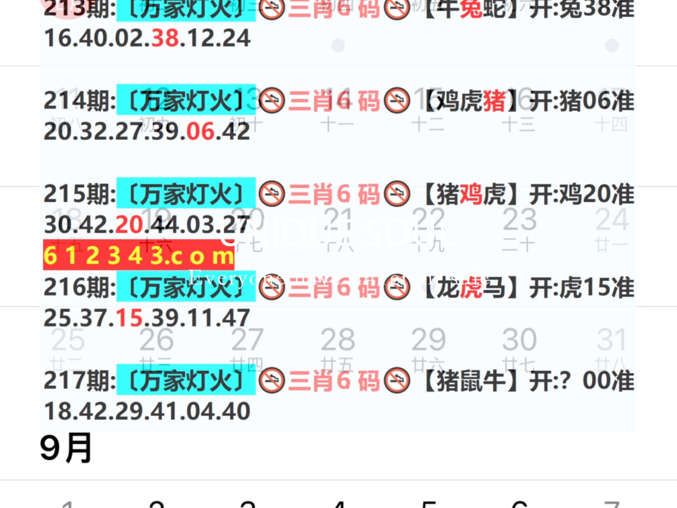 新澳門期期免費資料，探索澳門博彩文化的秘密,，澳門博彩文化探秘,，新澳門期期免費資料解析