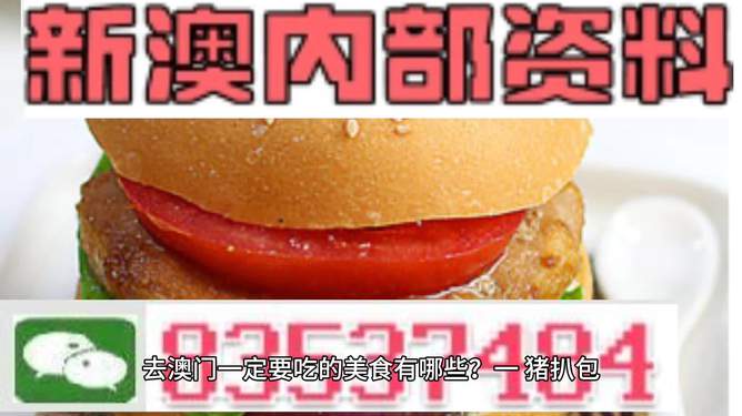 新門內(nèi)部精準資料免費,，探索與獲取秘籍,，新門內(nèi)部精準資料大揭秘，免費探索與獲取秘籍