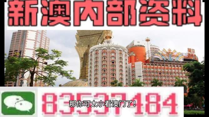 新澳門資料大全免費，探索澳門的文化與魅力,，澳門文化與魅力大全,，免費新澳門資料探索之旅