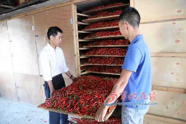 王中王王中王免費(fèi)資料大全一,，深度解析與探索,，王中王王中王資料大全深度解析與探索一