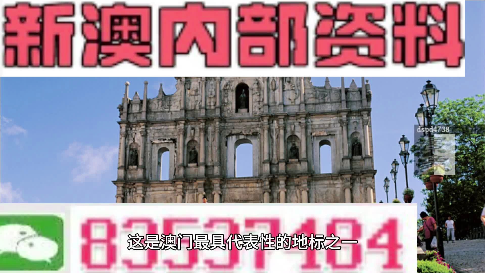 新澳2025今晚開獎(jiǎng)資料詳解及預(yù)測分析，新澳2025今晚開獎(jiǎng)資料詳解與預(yù)測分析概覽