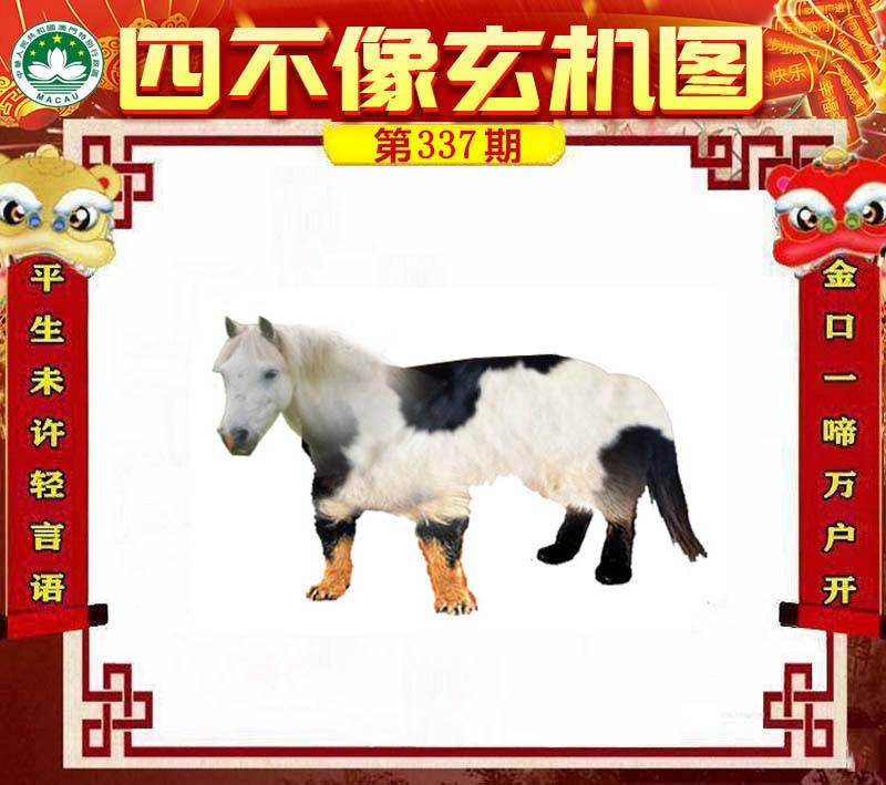 四不像必中一肖王中王,，揭秘彩票背后的秘密，揭秘彩票背后的秘密,，四不像必中一肖王中王揭秘彩票真相