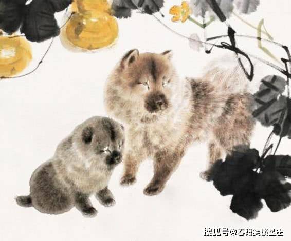 澳門今晚必開一肖,，揭秘生肖狗運(yùn)勢與預(yù)測,，澳門今晚生肖預(yù)測，揭秘生肖狗的運(yùn)勢與幸運(yùn)展望