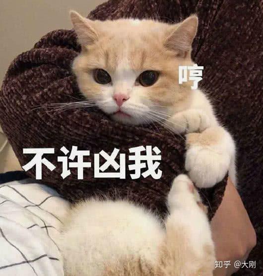 王中王是何物？解讀生肖之謎,，揭秘生肖之謎,，王中王是何物？