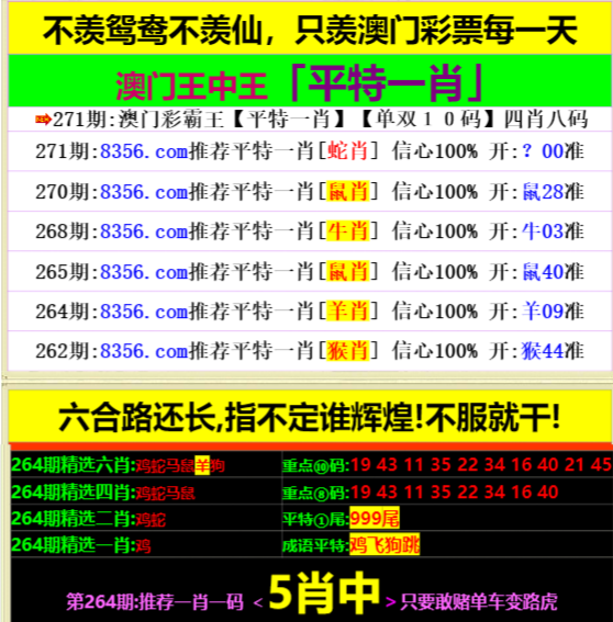 王中王資料一肖中特天查,，深度解析與SEO優(yōu)化策略，王中王資料一肖中特天查深度解析與SEO優(yōu)化策略探討