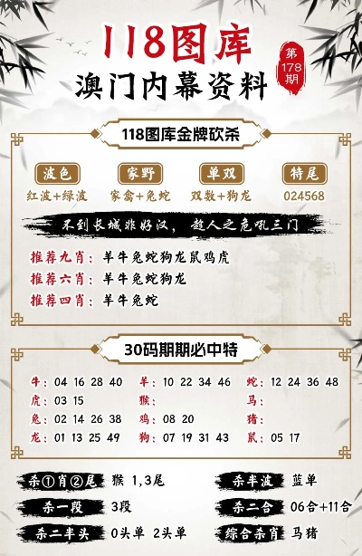 新澳新澳門正版資料，探索與解析,，新澳新澳門正版資料深度解析與探索