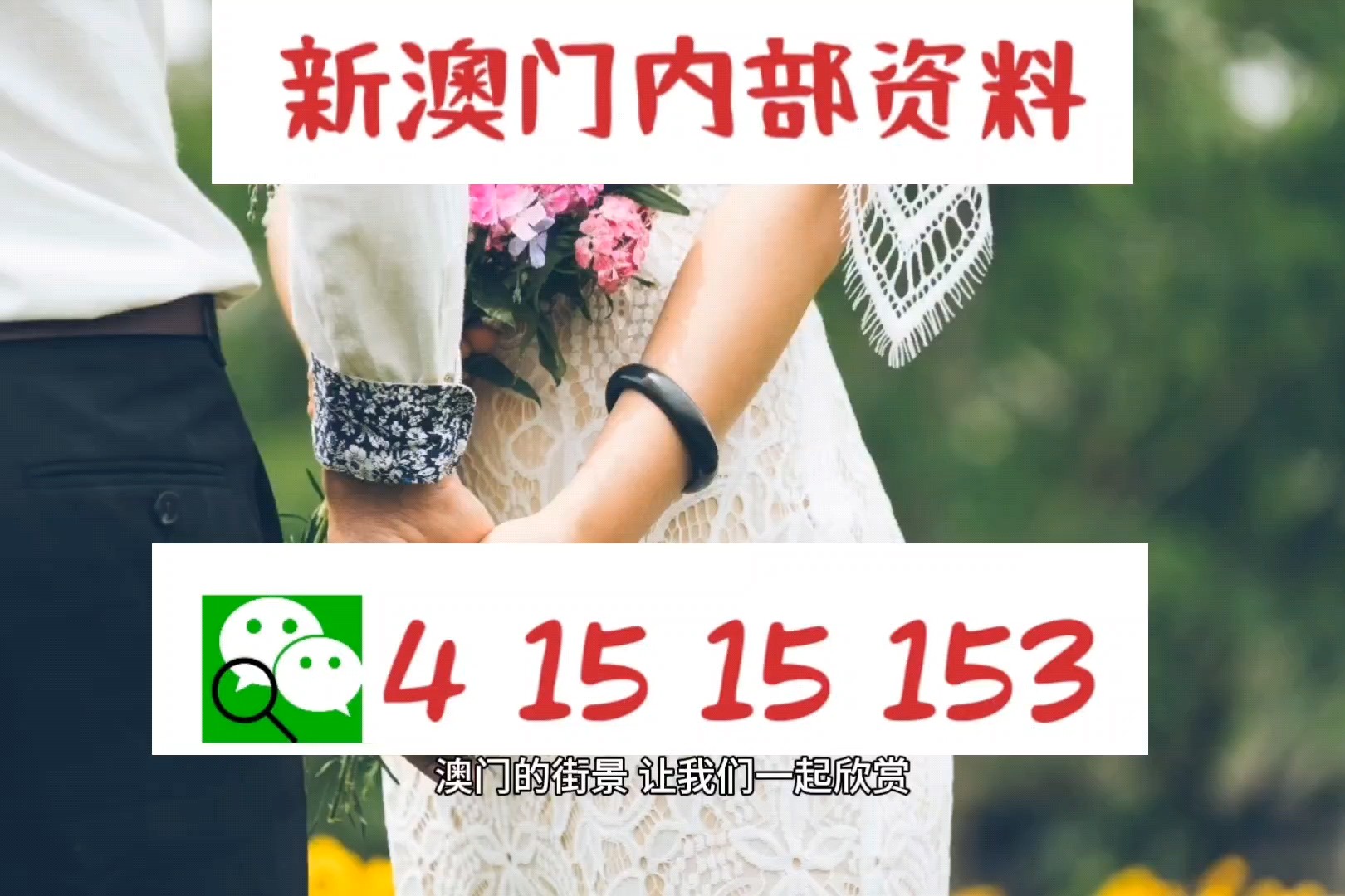 新澳正版資料免費(fèi)提供，全面解析與深度探索,，新澳正版資料全面解析與深度探索,，免費(fèi)提供的指南