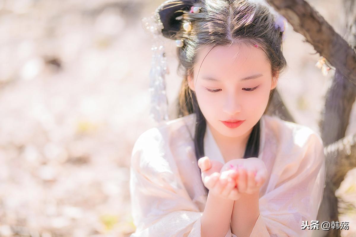 揭秘劉伯溫四不像一肖中的奧秘,，劉伯溫四不像一肖奧秘揭秘