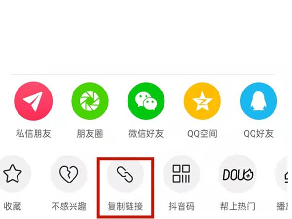 一肖一肖免費中特王中王——揭秘彩票預測背后的秘密,，揭秘彩票預測真相,，一肖一肖免費中特王中王探秘