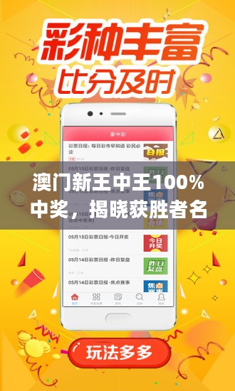 新澳門王中王游戲,，揭秘期期中秘密,，探索贏彩新策略，揭秘新澳門王中王游戲,，探索贏彩策略與期期中奧秘