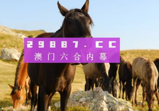 澳門管家婆——肖一碼的獨特風采與傳奇故事,，澳門傳奇管家肖一碼，獨特風采與傳奇故事
