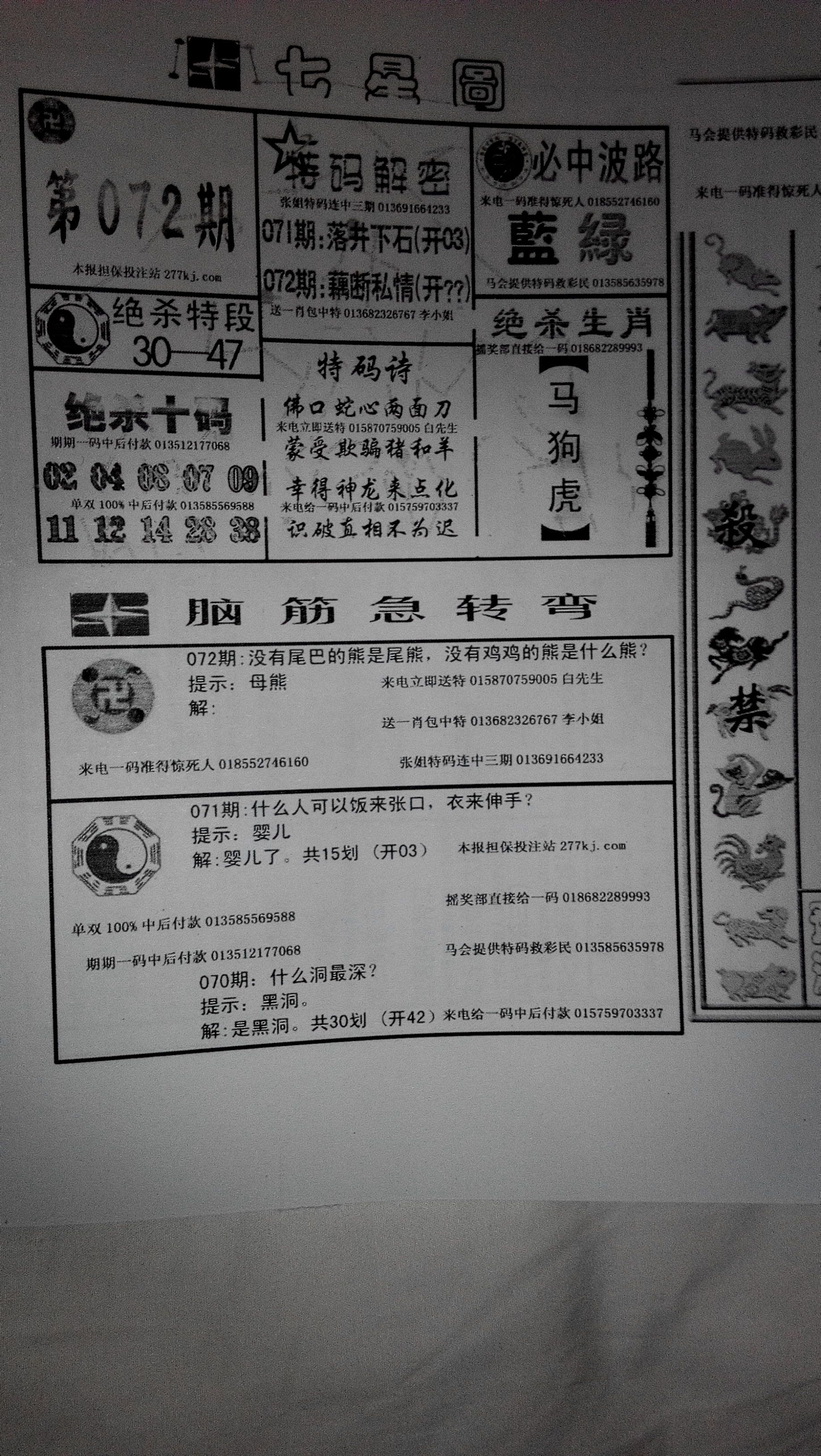王中王253期指一生肖，解讀背后的秘密與生肖運(yùn)勢(shì)分析,，王中王253期生肖揭秘,，秘密解讀與運(yùn)勢(shì)分析