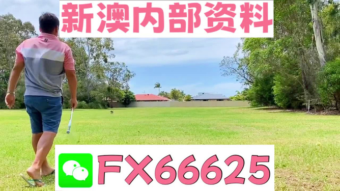 王中王一肖中碼,，探尋背后的秘密與策略，揭秘王中王一肖中碼背后的策略與秘密