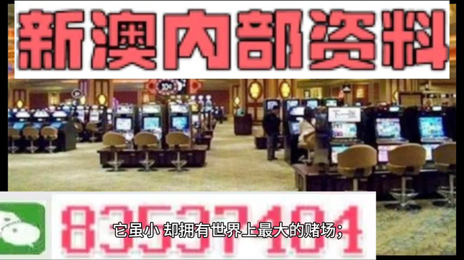 新澳門最精準(zhǔn),，探索澳門的精準(zhǔn)旅游魅力，澳門精準(zhǔn)旅游魅力探索