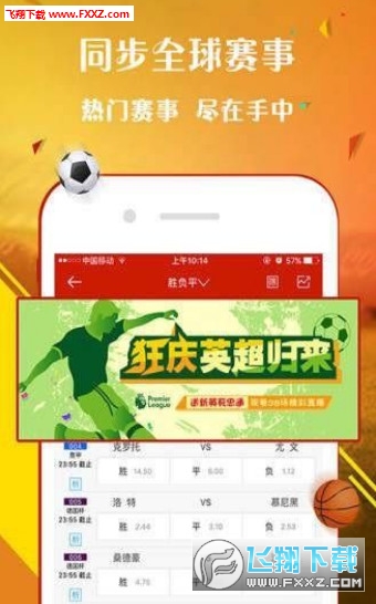 王中王一肖,，探尋背后的故事與魅力，王中王一肖,，背后的故事與獨特魅力探尋