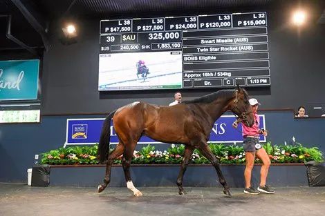 探索香港正版精準特馬資料，全方位解析與實用指南,，香港正版特馬資料解析與實用指南