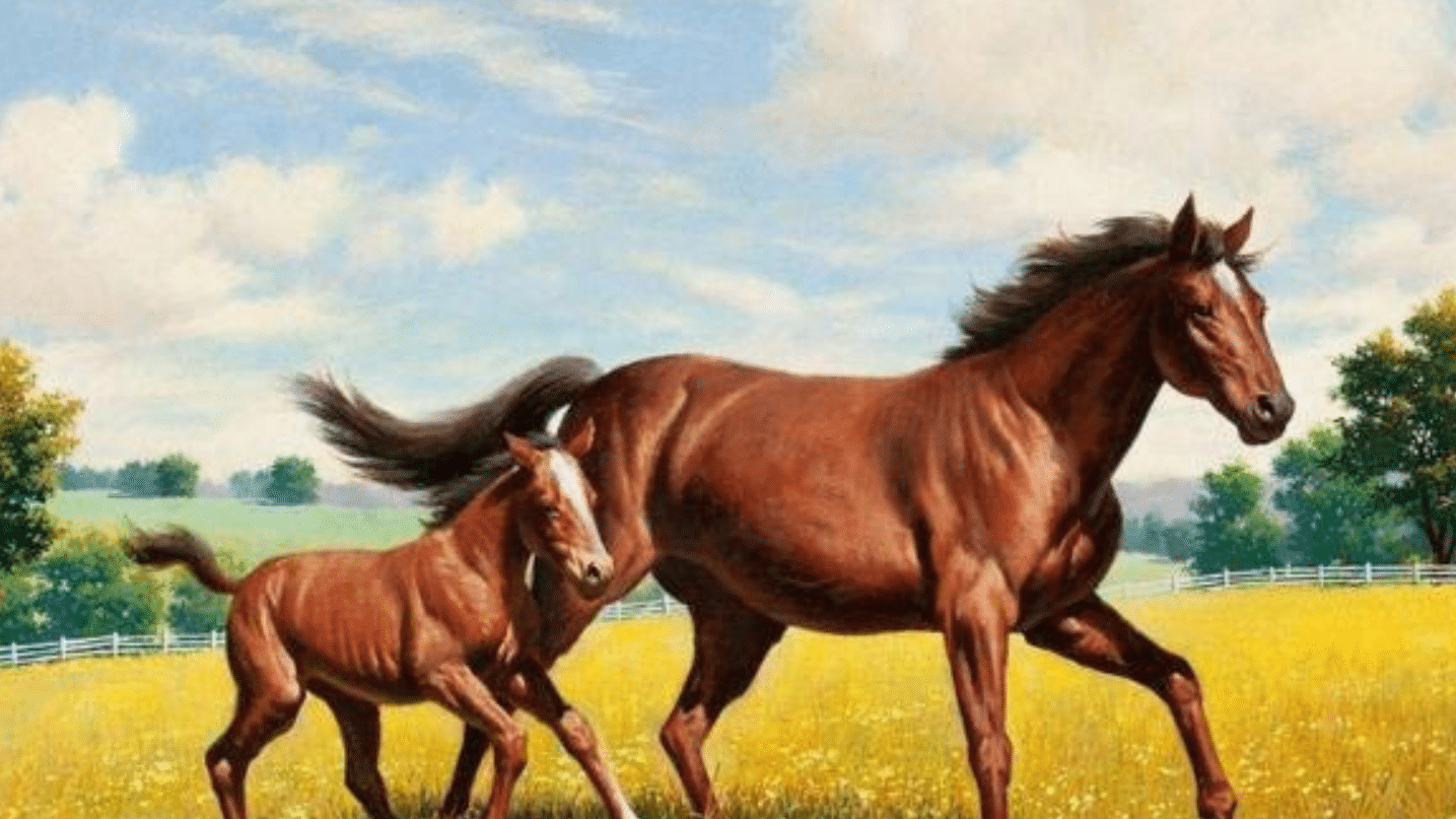 王中王128期馬一生肖,，探尋生肖馬之魅力與運(yùn)勢(shì),，探尋生肖馬之魅力與運(yùn)勢(shì)，王中王128期馬一生肖解析