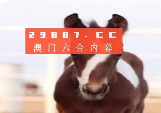 澳門老鼠報(bào)一肖一碼,，揭秘背后的秘密與真相,，澳門老鼠報(bào)一肖一碼揭秘，背后的秘密與真相探究
