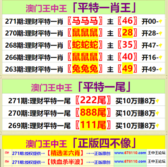 王中王一肖中特公開(kāi)資料，深度解析與探索,，王中王一肖中特公開(kāi)資料深度解析與探索研究