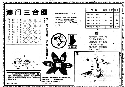 王中王中特一肖中特的奧秘與探索，王中王中特一肖中特的奧秘探索之路