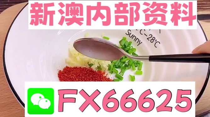 新澳正版資料免費(fèi)提供，全面解析與深度探索,，新澳正版資料全面解析與深度探索,，免費(fèi)提供的指南