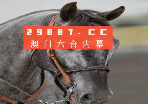 澳門一一碼一特一中準(zhǔn)選今晚,，探索澳門的魅力與精準(zhǔn)預(yù)測，澳門魅力探索與今晚精準(zhǔn)一碼預(yù)測