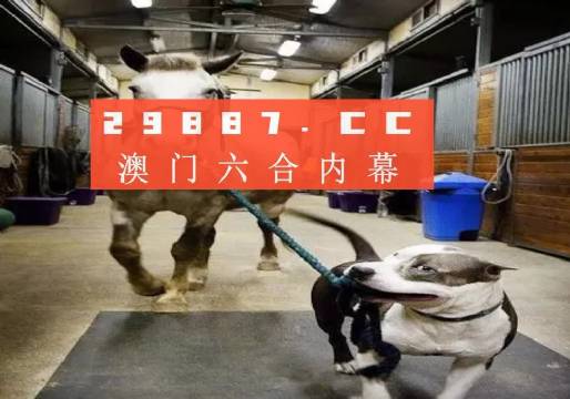 澳門一肖一碼一必中一肖,，同舟前進的奧秘與策略,，澳門一肖一碼必中策略與前進奧秘，同舟共濟的揭秘與策略