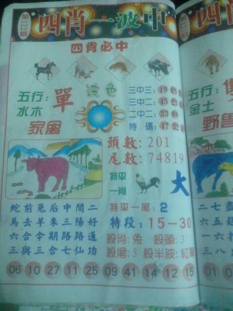 王中王122期指一生肖，深度解析與預(yù)測，王中王122期生肖深度解析與預(yù)測，揭秘未來走向