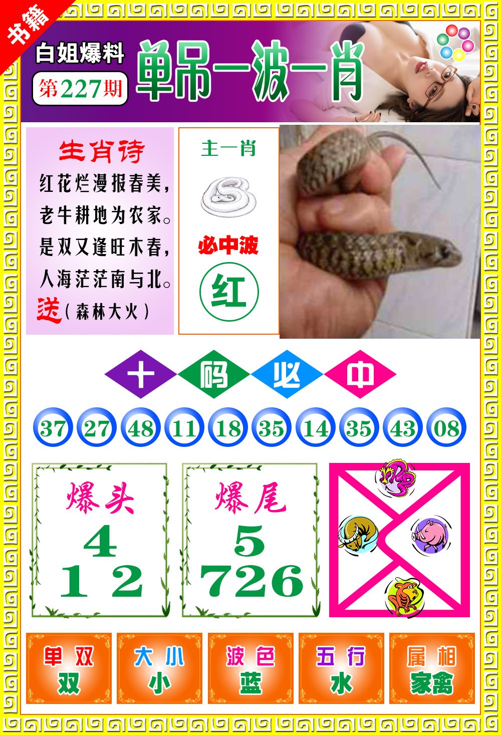 王中王開獎(jiǎng)一肖免費(fèi)——揭秘彩票秘密，掌握財(cái)富先機(jī),，揭秘彩票秘密,，王中王開獎(jiǎng)一肖免費(fèi)，掌握財(cái)富先機(jī),！